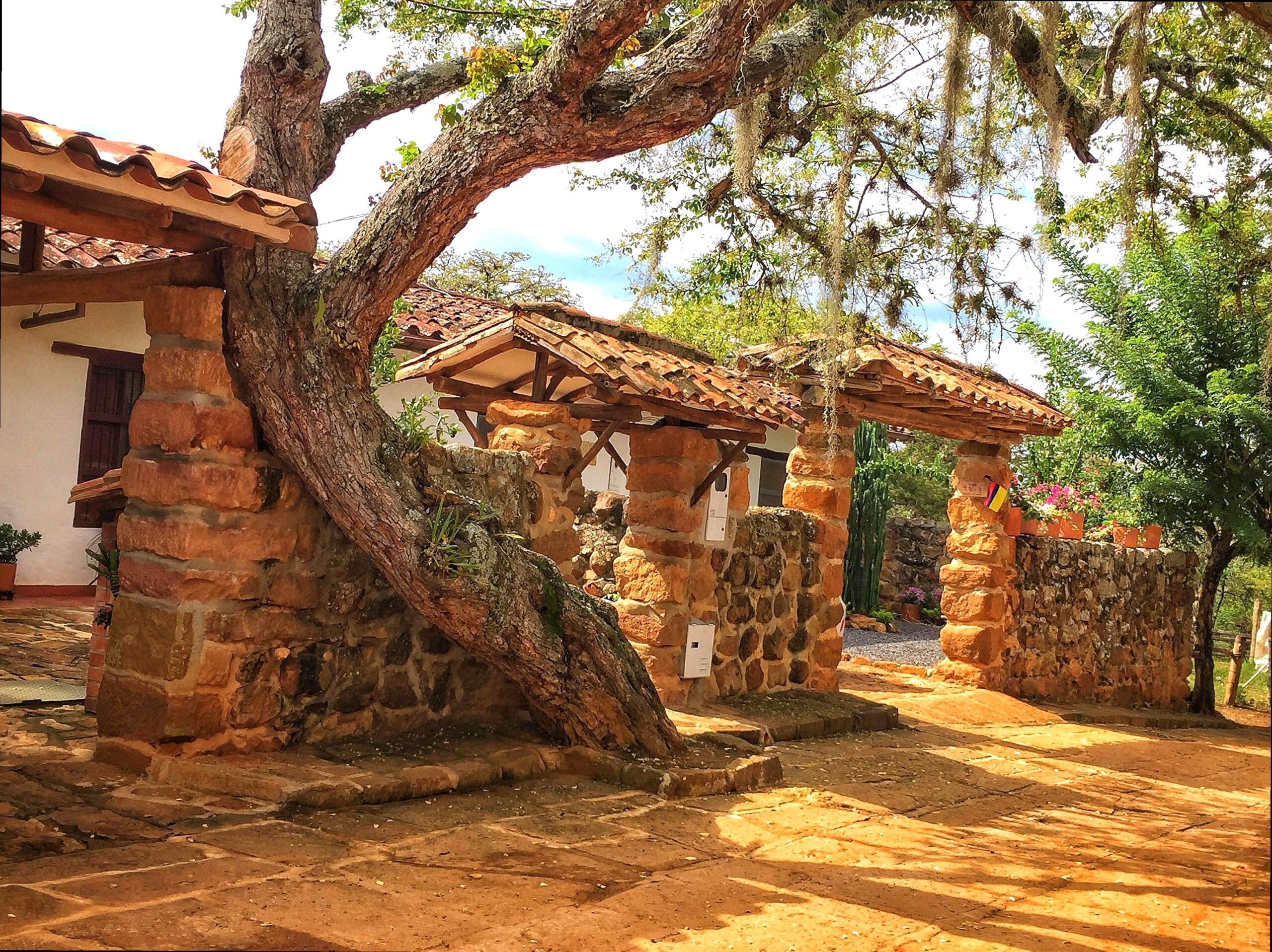 The Heritage of Coragulac House and Surrounding Gardens