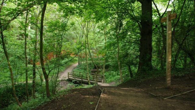 icciepok | Fairy Dell Spring Walk: Enjoying a spring walk through Fairy Dell.