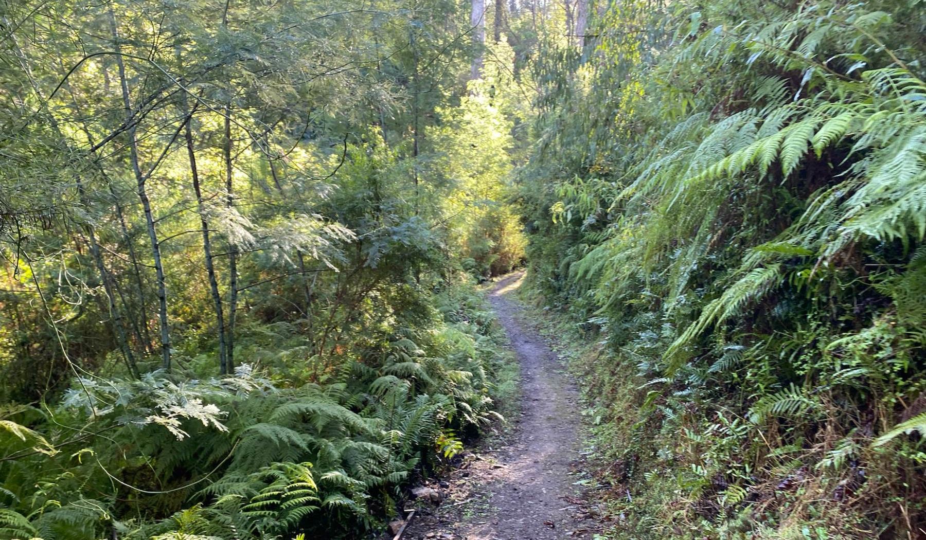 Enjoying a springtime walk in Fairy Dell