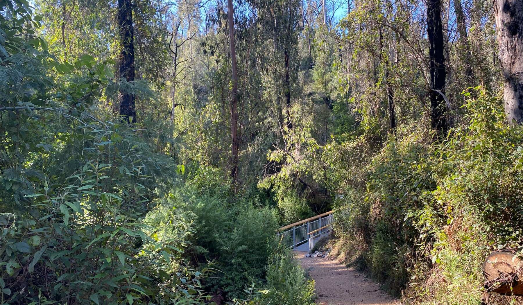 Discovering Fairy Dell on a spring walk