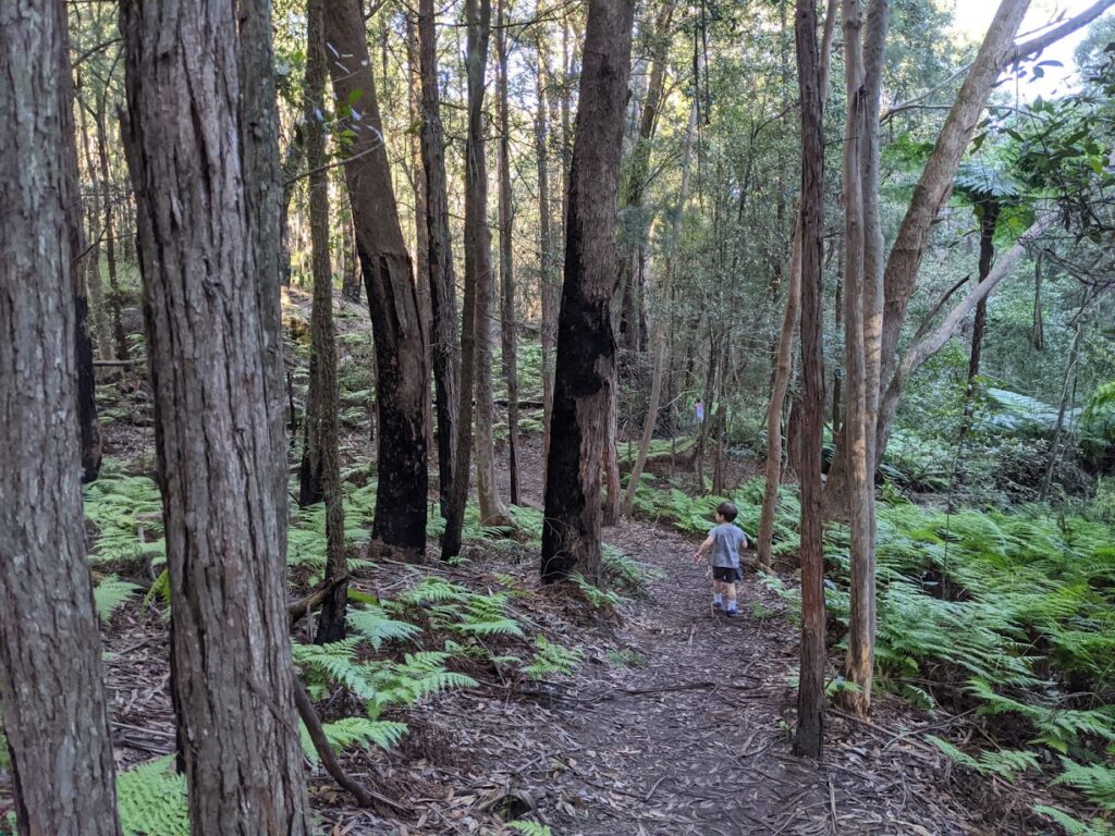 Taking a spring walk in Fairy Dell