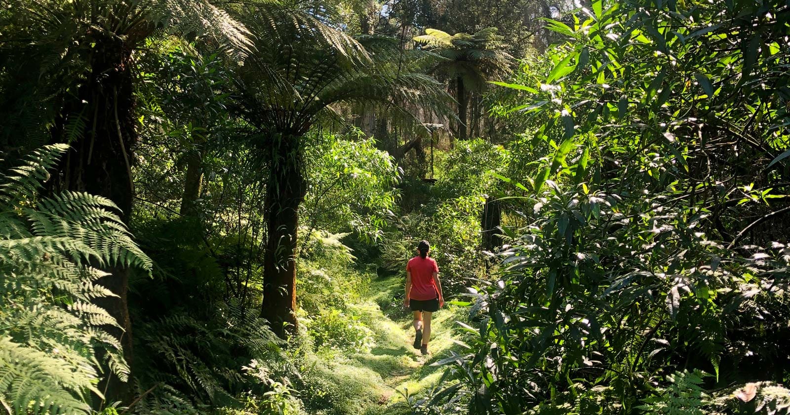 Wandering through Fairy Dell in springtime