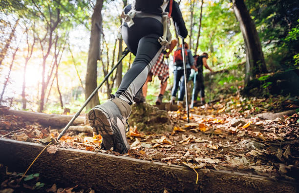 Taking Part in the Mountain Sports Festival