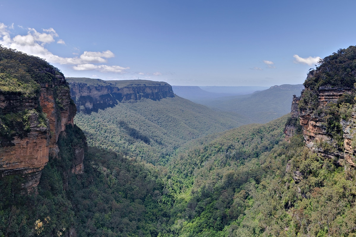 Cliffside Adventures: Scenic Walks on the Cliff Top Track