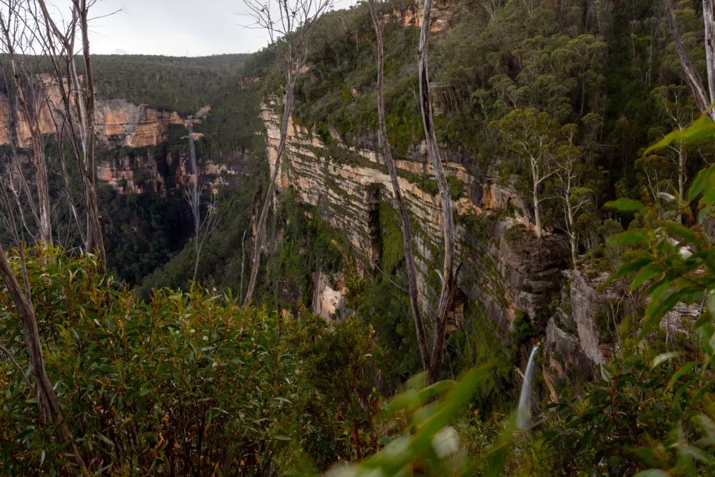 Scenic Cliffside Walks: Exploring the Cliff Top Walking Path